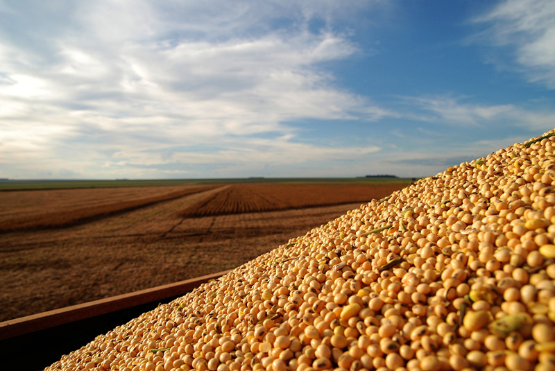 1xBET·Signup(中国区)-官方网站