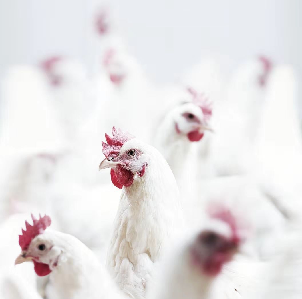 1xBET·Signup(中国区)-官方网站