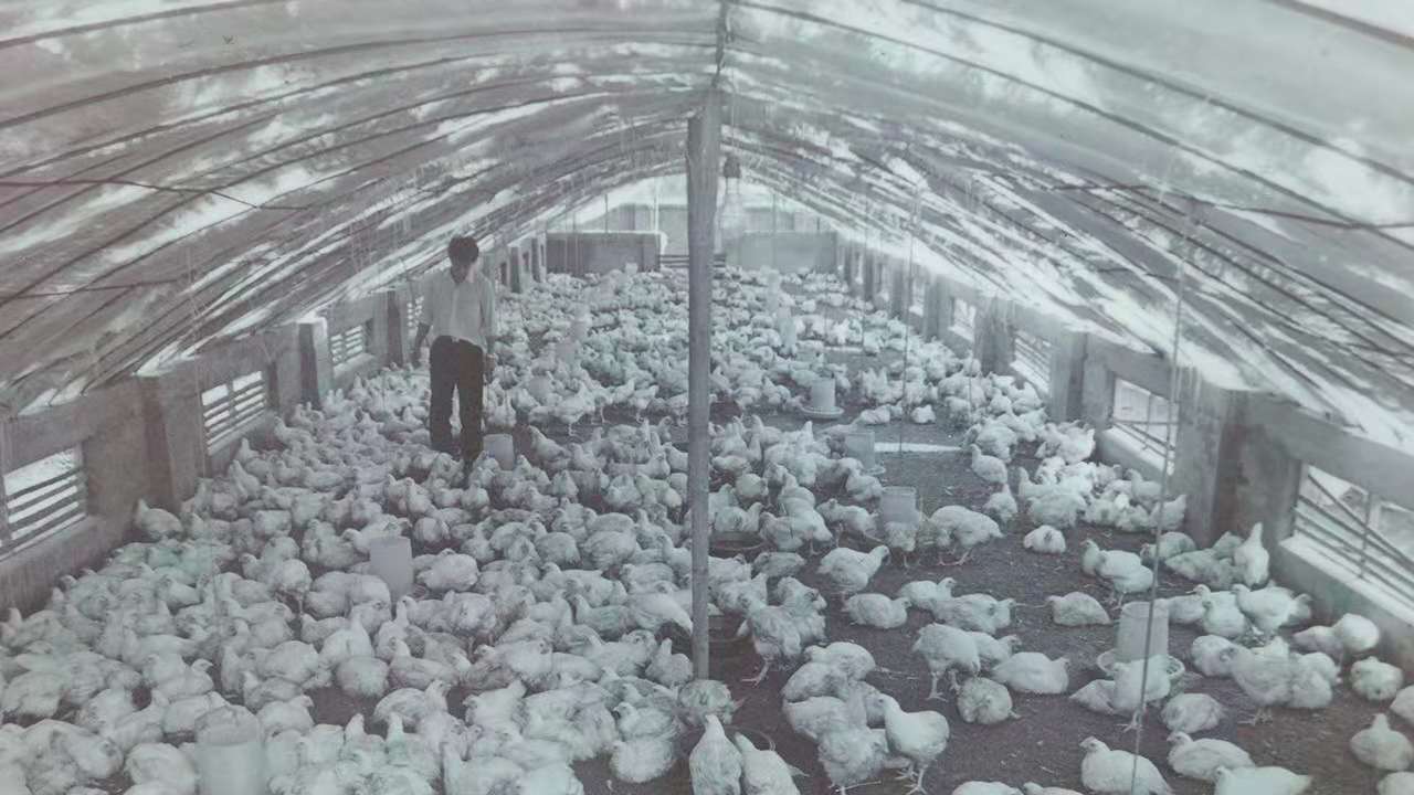 1xBET·Signup(中国区)-官方网站