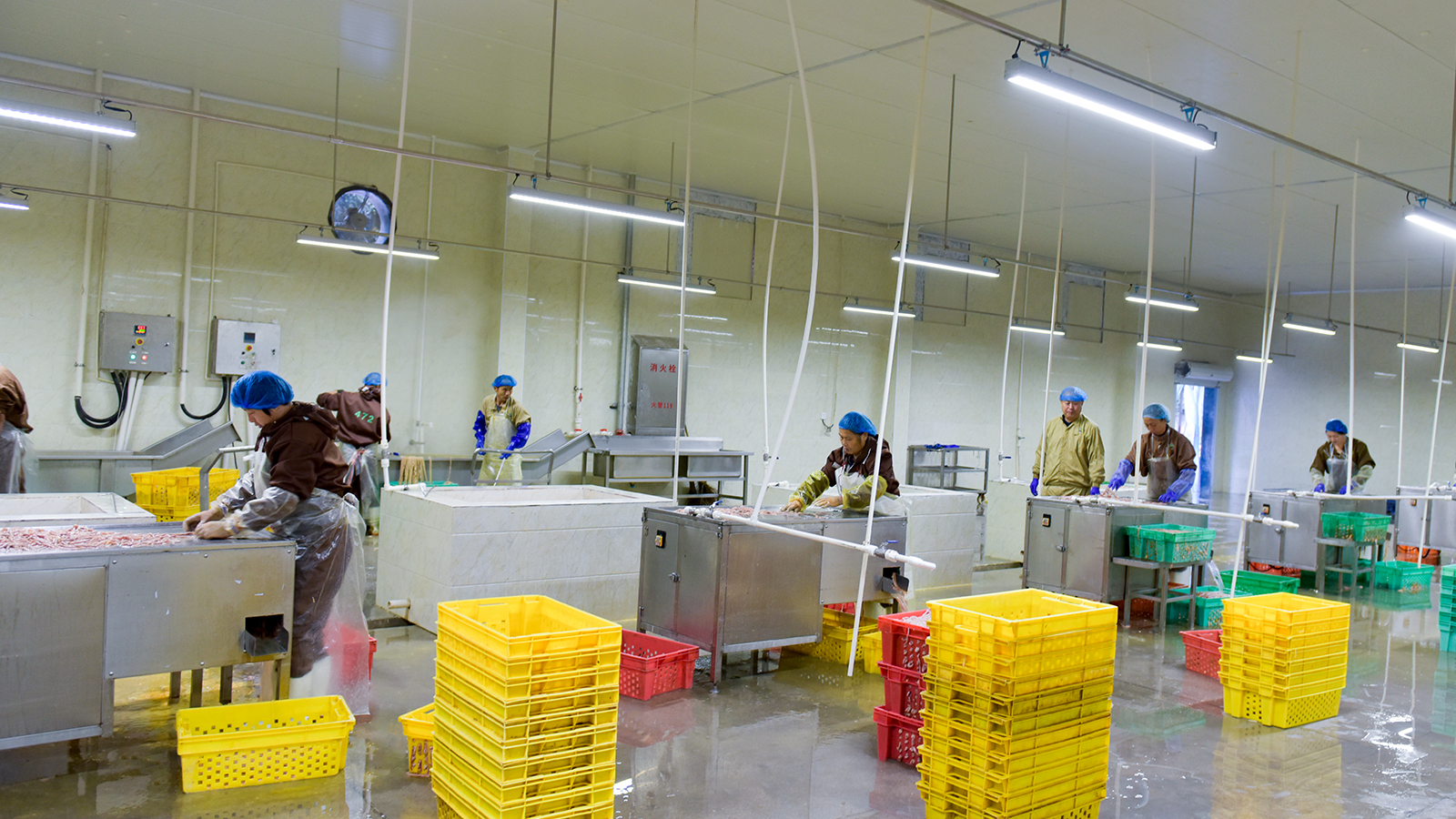 1xBET·Signup(中国区)-官方网站