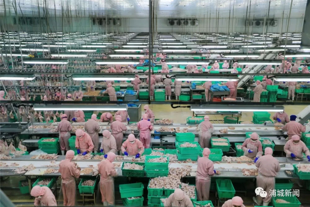 1xBET·Signup(中国区)-官方网站