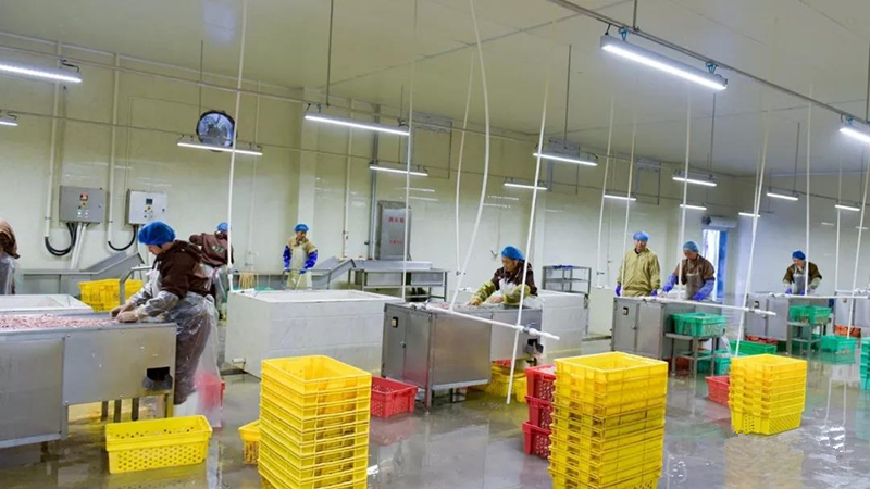 1xBET·Signup(中国区)-官方网站