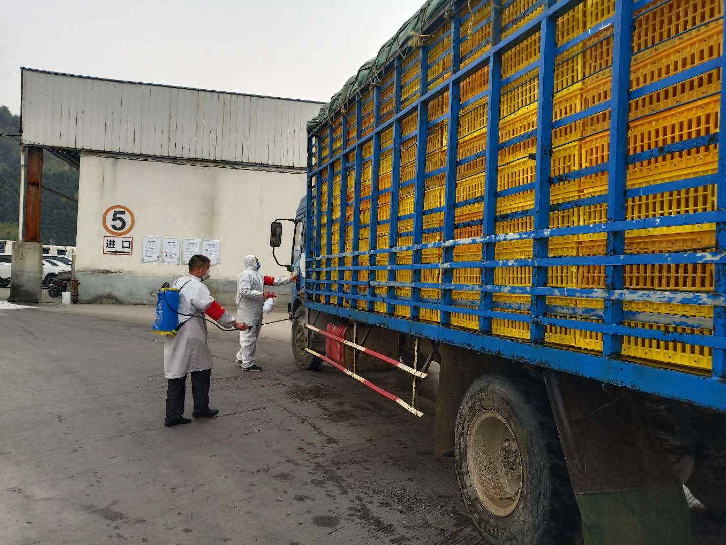 1xBET·Signup(中国区)-官方网站