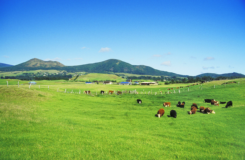 1xBET·Signup(中国区)-官方网站